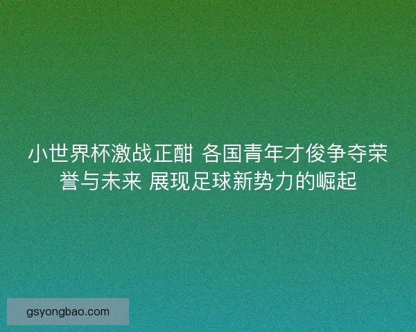 小世界杯激战正酣 各国青年才俊争夺荣誉与未来 展现足球新势力的崛起 小世界杯激战正酣 各国青年才俊争夺荣誉与未来 展现足球新势力的崛起