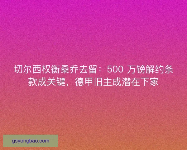 切尔西权衡桑乔去留：500 万镑解约条款成关键，德甲旧主成潜在下家
