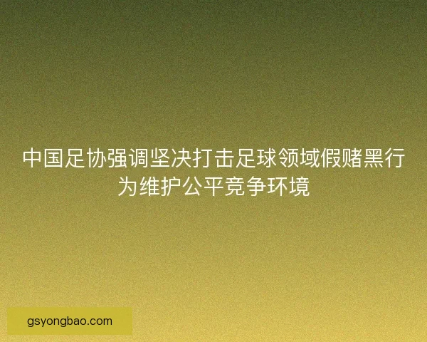 中国足协强调坚决打击足球领域假赌黑行为维护公平竞争环境 中国足协强调坚决打击足球领域假赌黑行为维护公平竞争环境